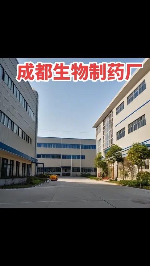 企業(yè)管理咨詢 價(jià)值、流程與選擇指南